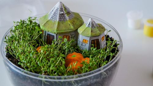!!! CLE Harry Potter Terrarium 19248 na Arena.pl