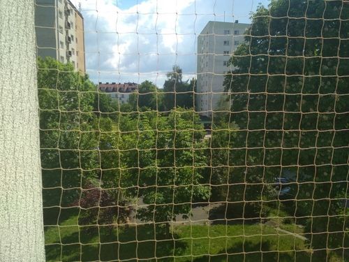 SIATKA ZABEZPIECZAJĄCA NA BALKON DLA KOTA PRZECIWKO PTAKOM 2x3m na Arena.pl