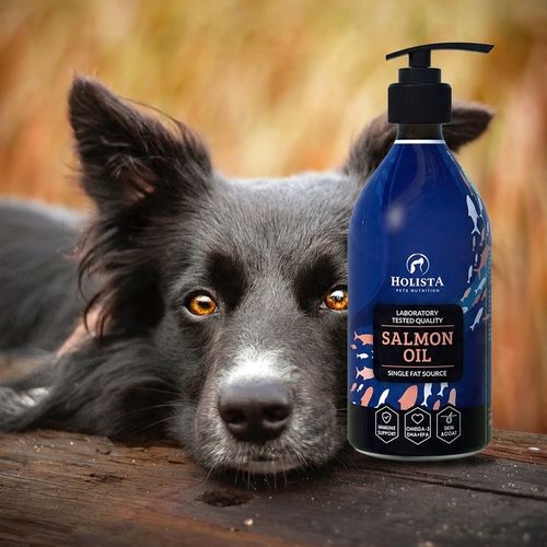 HOLISTA Olej z Łososia Atlantyckiego dla Psa Kota OMEGA 3 Salmon Oil 500ml na Arena.pl