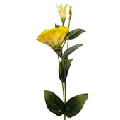 Eustoma pojedyncza żółta 6szt