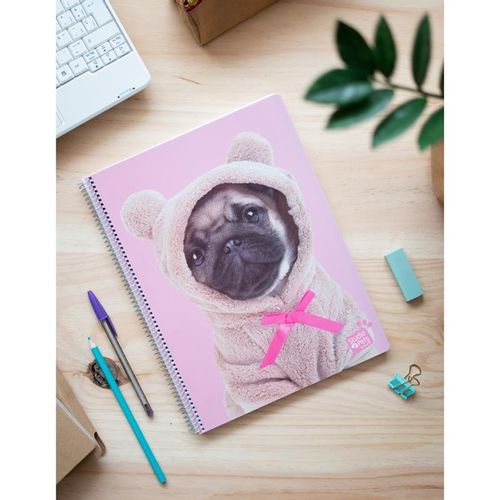 Studio Pets - Notatnik / Notes A4 Pies na Arena.pl