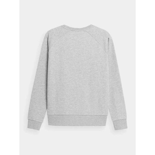 Bluza 4F W 4FSS23TSWSF370-27M S na Arena.pl