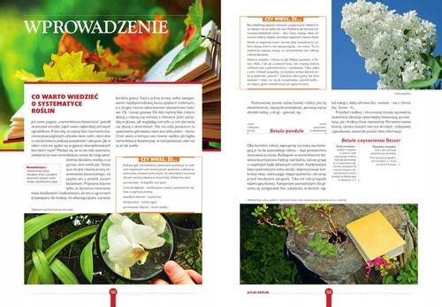 ROK W OGRODZIE Joanna Mikołajczyk OGRÓD I UPRAWA ROŚLIN ATLAS TWARDA na Arena.pl