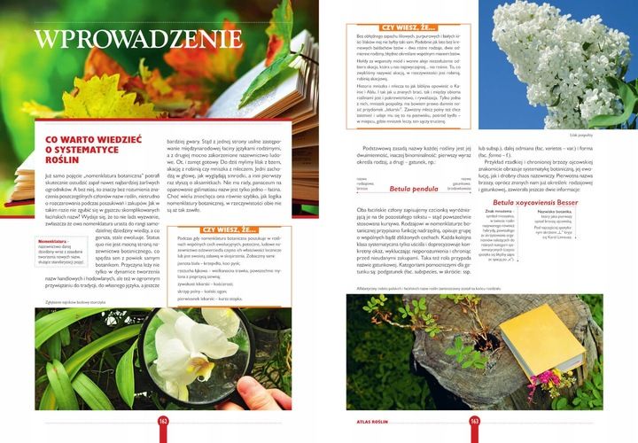 ROK W OGRODZIE Joanna Mikołajczyk OGRÓD I UPRAWA ROŚLIN ATLAS TWARDA zdjęcie 4