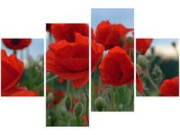 140CM 70 OBRAZ MAKI DUNCAN ŚCIENNY