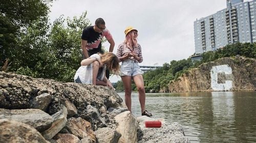 Głośnik JBL Flip 5 Moro na Arena.pl