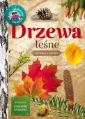 Drzewa Leśne