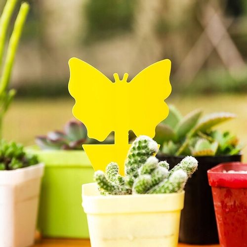 60x ŻÓŁTY LEP DO DONICZEK MOTYL na ziemiórki mszyce muszki owocówki owady na Arena.pl