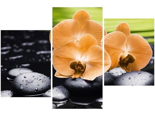 60 90CM OBRAZ 3 ELEM STORCZYK POMARAŃCZOWY ŚCIENNY DRUK PŁÓTNO na Arena.pl