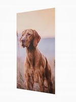 Grzejnik dekoracyjny z OBRAZEM ART7. 545x970