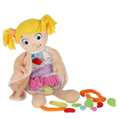 INTERAKTYWNA LALKA EDUKACYJNA DO NAUKI ANATOMII na Arena.pl