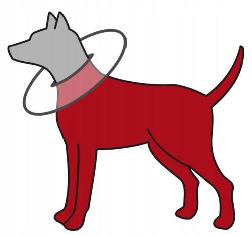 Miękki kołnierz ochronny dla psa dysk Trixie L na Arena.pl