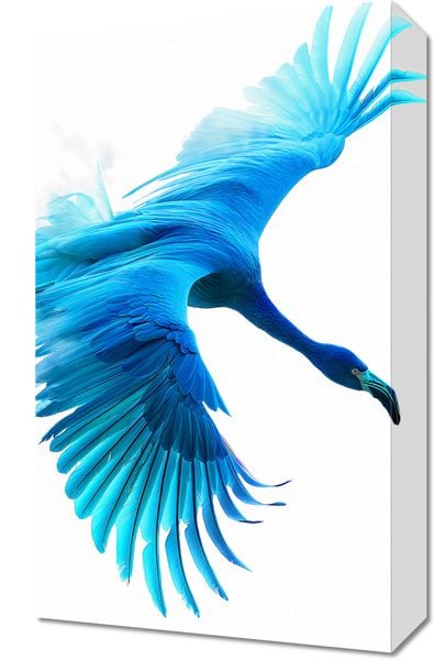 Obraz 30x50cm Błękitny Lot zdjęcie 1