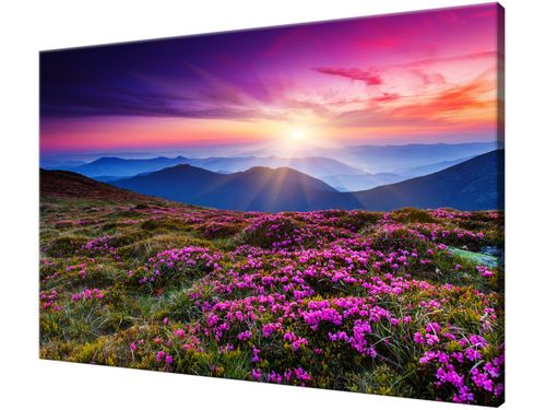 Obraz drukowany na płótnie canvas 120x80 + GRATIS na Arena.pl