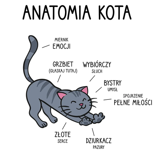 Anatomia kota  - poduszka na prezent na Arena.pl