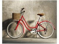 40X50CM CZERWONY ROWER OBRAZ