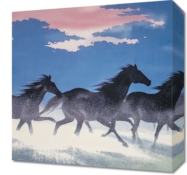 Obraz 40x40cm Wolność i Swoboda zdjęcie 1