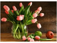 50X70CM CZERWONE TULIPANY OBRAZ POKOJU DREWNINE