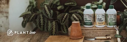 Spraw, by szybciej rosły 500 ml | Plant lover| stymulator wzrostu do roślin na Arena.pl