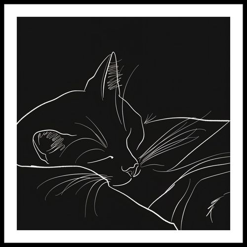 Plakat 50x50cm Nocny Spokój na Arena.pl