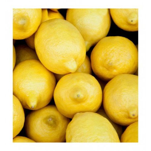 Yodeyma Blue Sand Woda Perfumowana Dla Mężczyzn 50ml na Arena.pl