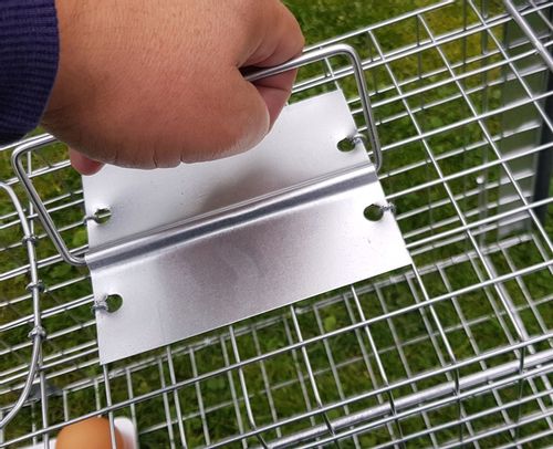 żywołapka pułapka na szczury gryzonie szczurołapka na Arena.pl