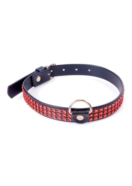 Fetish B - Series Collar With Crystals 2 Cm Red Line zdjęcie 1