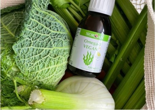 Norsan Omega-3 Vegan zdjęcie 3