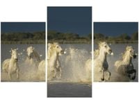 product-compare-58646368