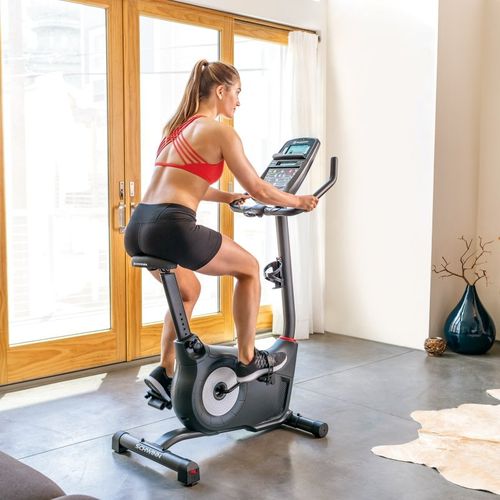 SCHWINN ROWER PROGRAMOWANY 130i na Arena.pl