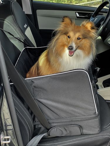 Fotelik samochodowy dla psa transporter na Arena.pl