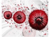 40CM 50CM OBRAZEK ŚCIENNY CZERWONE DMUCHAWCE 5 DRUK PŁÓTNO OBRAZ