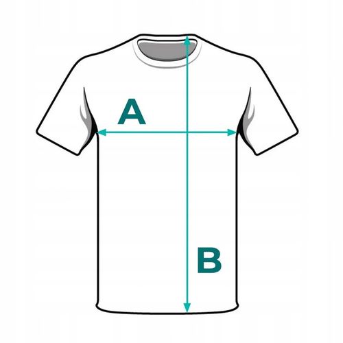 KOSZULKA 4F MĘSKA T-SHIRT ZESTAW SPORTOWY BAWEŁNIANY KOMPLET 3PAK na Arena.pl