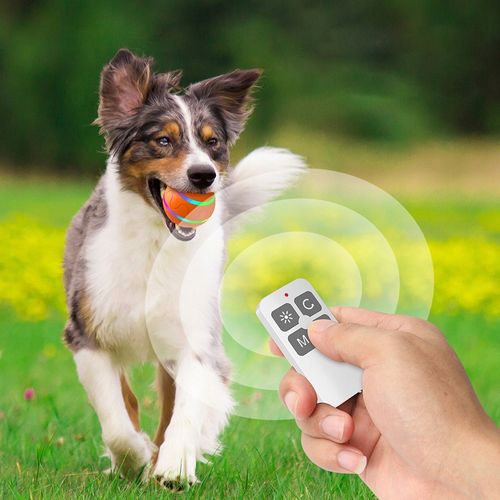 PIŁKA dla PSA LED USB Pilot Interaktywna RUCHOMA na Arena.pl