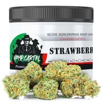 Susz konopny CBD | Strawberry Haze | HOLENDER | 10g