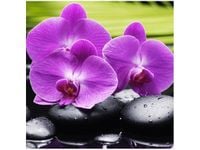 50X50CM KAMIENIE STORCZYKI OBRAZ