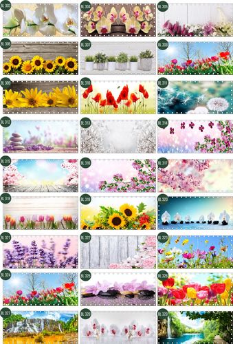 Osłona na balkon dekoracja balkonu SURFINIE kwiaty 10x10 cm na Arena.pl