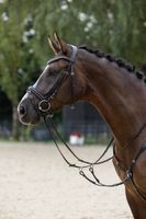 product-compare-58669305