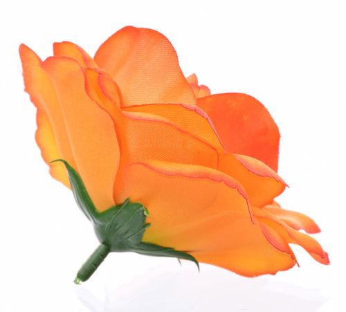 Róża główka na Arena.pl