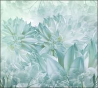 Tło do fotografii produktowej kulinarnej Flat Lay