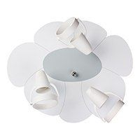 Płatek 5244412 na Arena.pl