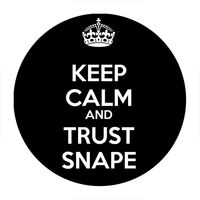 Przypinka Harry Potter