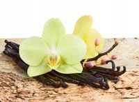 FOTOTAPETA kuchenna KWIAT STORCZYK WANILIA