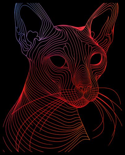 Plakat 40x50cm Cyfrowa Kocica na Arena.pl