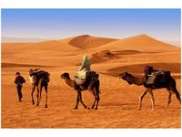 120CM 80CM OBRAZ ŚCIENNY PODRÓŻ PO PUSTYNI