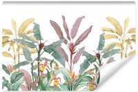 Fototapeta Natura Tropikalne PALMY Dżungla 368cm x 254cm