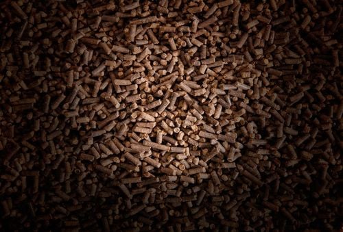 OBORNIK Granulowany BYDLĘCY Nawóz Jesienny Wiosenny do Roślin Warzyw na Arena.pl