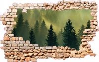 NAKLEJKI 3D na ścianę Dziura LAS WE MGLE tapeta