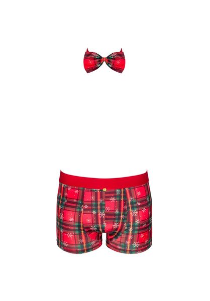 Mr Merrilo Bokserki I Mucha   S/M zdjęcie 5