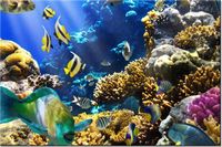 product-compare-58710171